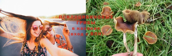 мескалин Тобольск
