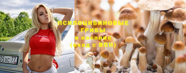 скорость mdpv Туринск