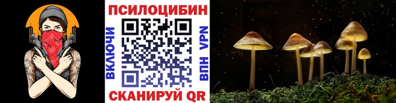 Псилоцибиновые грибы Psilocybe  Судак 